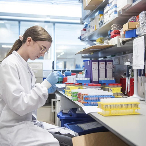 Shaanxi Baisifu Biological Engineering Co., Ltd. Fabrik Produktionslinie