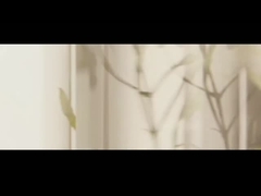 Ätherisches Teebaumöl Lavendelöl Pfefferminzöl Kampferbaum-Cerebrolöl Rosenöl Euca