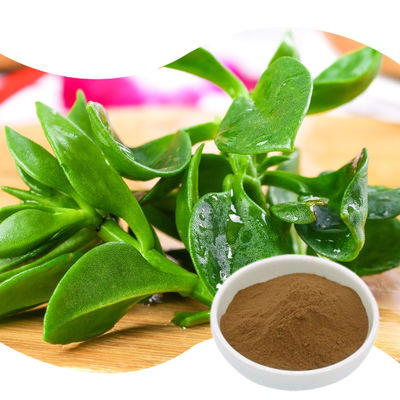Baisfu plant extract powder Natural Herb Andrographis Paniculata Extract 98% Andrographolide10%.20% HPLC used in Food industry