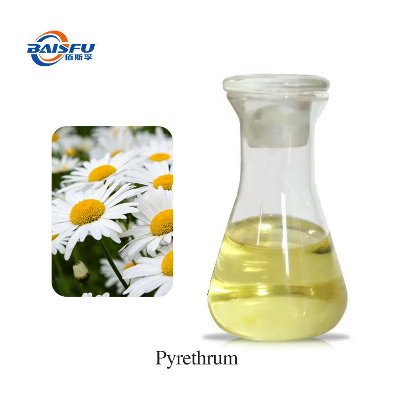Baisifu Professional Supply Pyrethrum Extract Pyrethrum Water-Soluble Pyrethrins 50% Cas: 8003-34-7 Yellow Liquid For Biocide