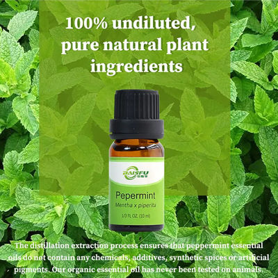 Natural Plant Oil 99% Peppermint Oil Essential Oil CAS 8006-90-4 For Cosmetic Perfume