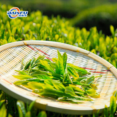 Baisfu Freeze-Dried Huangshan Maofeng Tea Powder  Premium Natural Plant Extract 99.0%-99.5% Assay  Beverages Dairy Food
